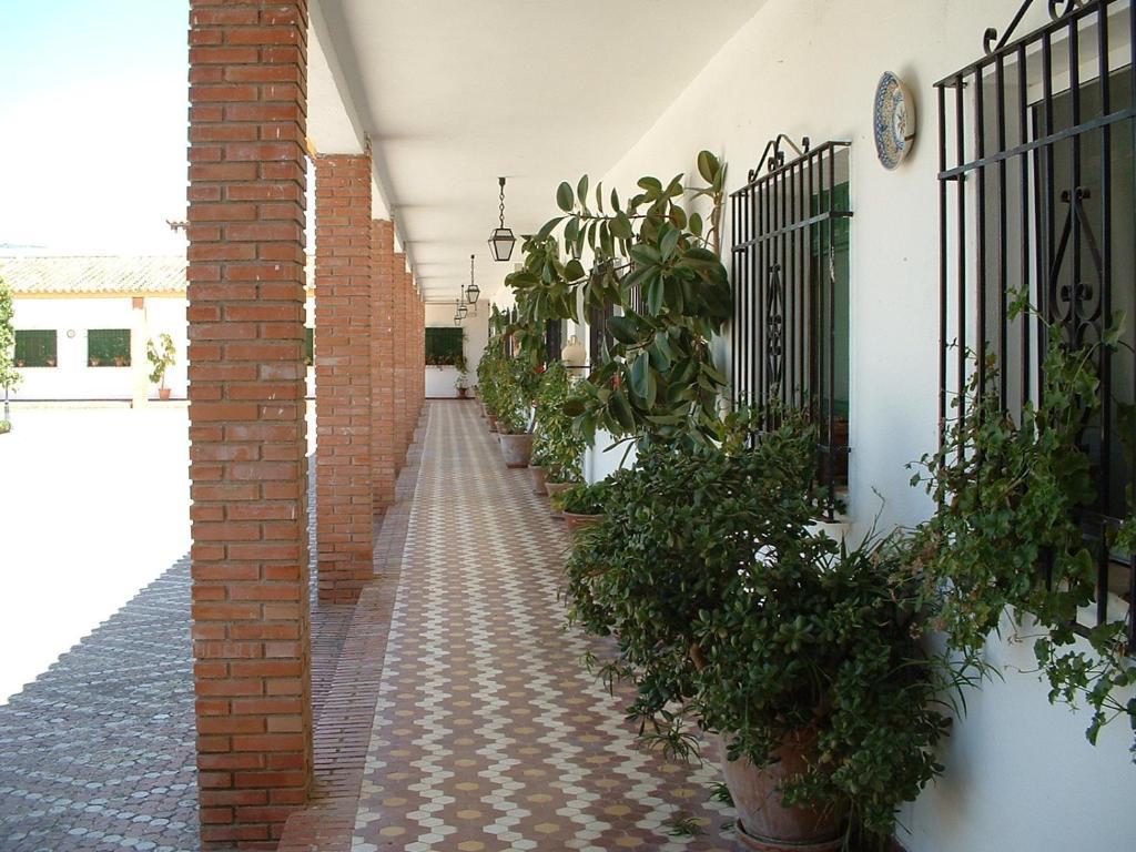 Apartamento Cortijo de Frías Cabra Habitación foto